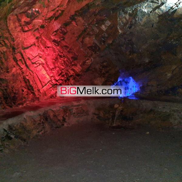 فروش ملک باغ  و بومگردی در ازغد