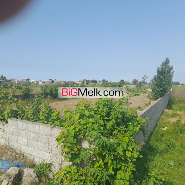 فروش زمین الحاق به بافت ساحلی جنگلی