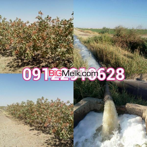 اخذ مجوزهای کشاورزی پروانه تاسیس