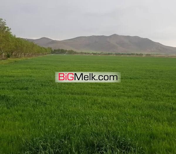 مجتمع کشاورزی و دامپروری