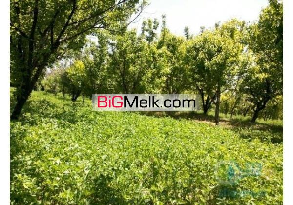 فروش باغ میوه چاه کشاورزی گاوداری صنعتی