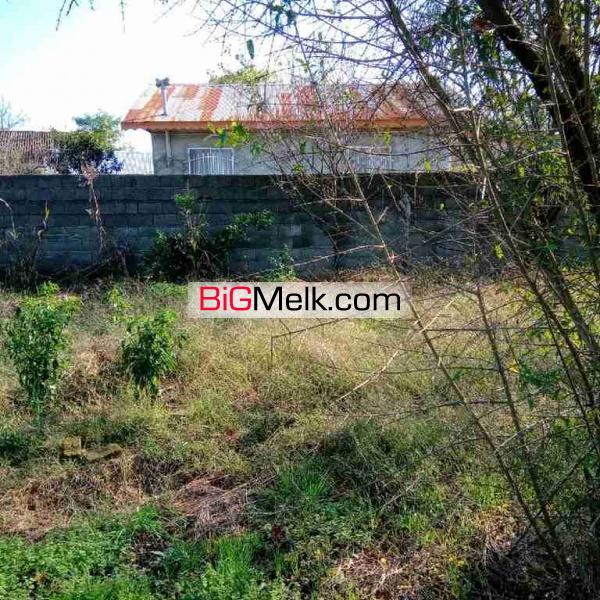 فروش زمین مسکونی با موقعیت ایده آل ساخت ویلا در شمال (گیلان