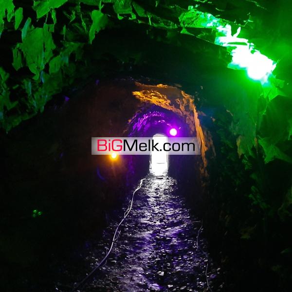 فروش ملک باغ  و بومگردی در ازغد