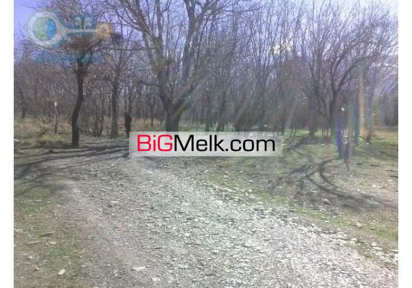 باغ خوانسار10 هزار متردر منطقه جنگاه