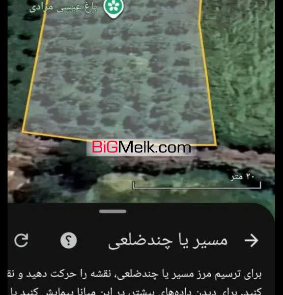 باغ انواع سیب زرد سیب قرمز و گردو