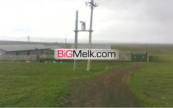 اجاره دامداری صنعتی1500متری