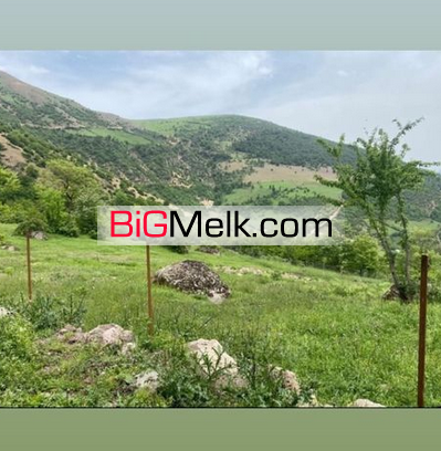 فروش530متر زمین در ییلاق گردشگری و تفریحی تالش
