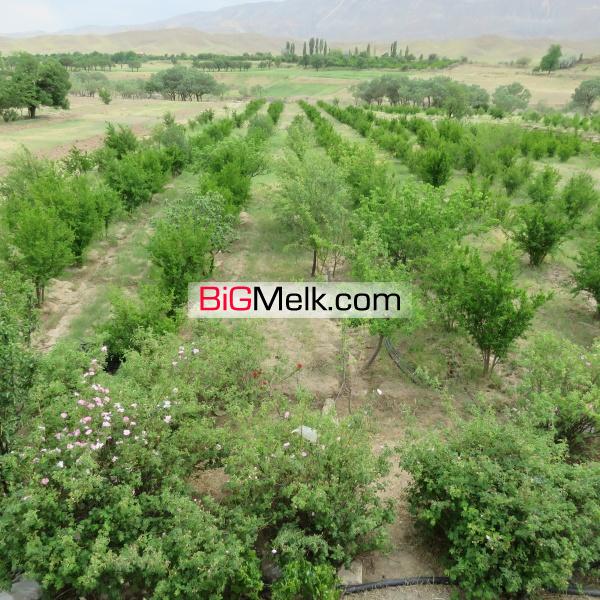 فروش باغ و ویلا 150 کیلومتری تهران با شرایط ویژه