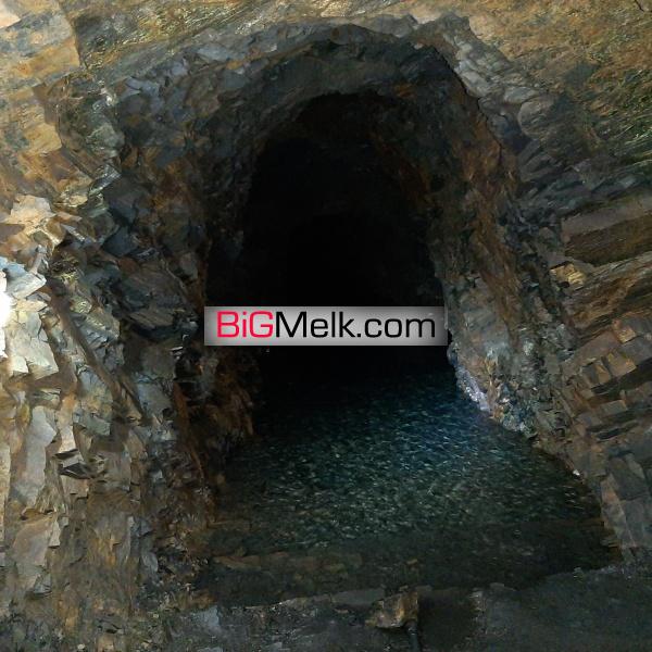فروش ملک باغ  و بومگردی در ازغد