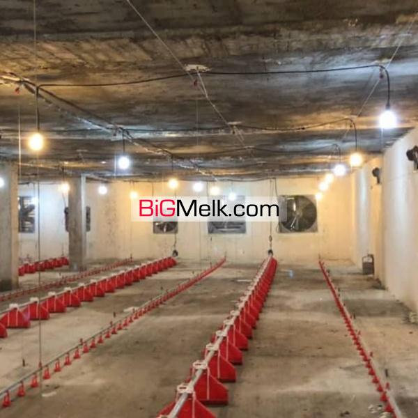 فروش مرغداری گوشتی ۲۰۰۰۰ تایی