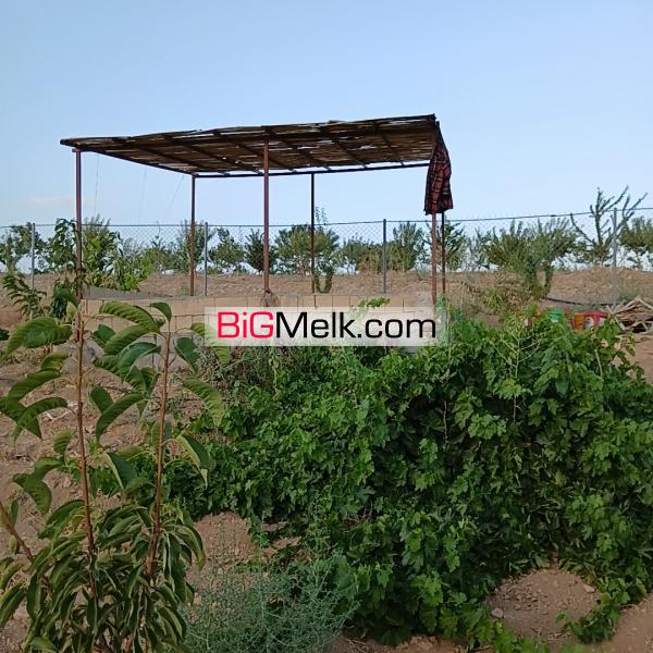 فروش باغ ۸۰۰ متری با امکانات کامل ????
