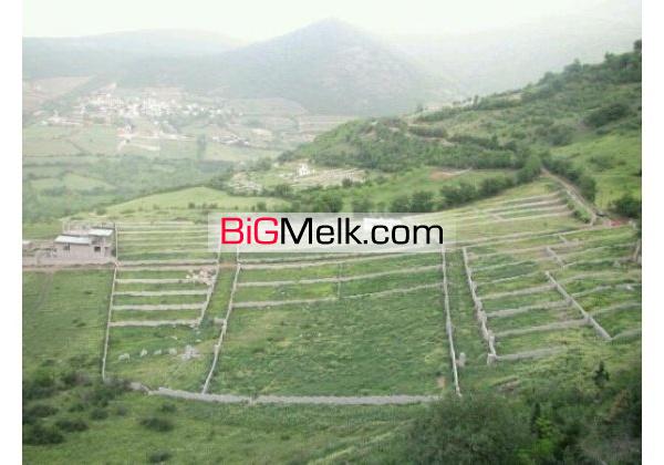 520متر زمین با جوازساخت نوشهر | نوشهر، روستای نیرس