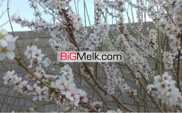 استثنایی رهن باغ در قهدریجان 750 متر