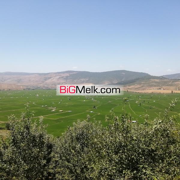 فروش زمین. در دودانگه ساری