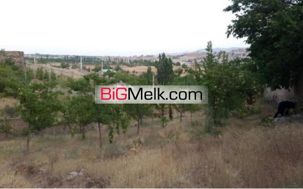 زمین باغ ویلایی 1150 متر محتوای درخت | تهران، دماوند