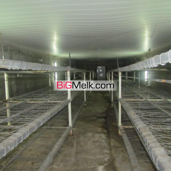 مرزعه پرورش قارچ 120 تنی فعال شمال