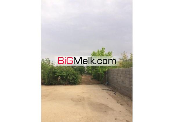باغ با ساختمان در دالین فارس