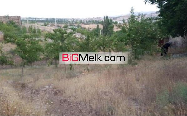 زمین باغ ویلایی 1150 متر محتوای درخت | تهران، دماوند
