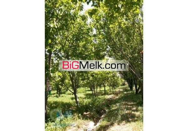 فروش باغ میوه چاه کشاورزی گاوداری صنعتی