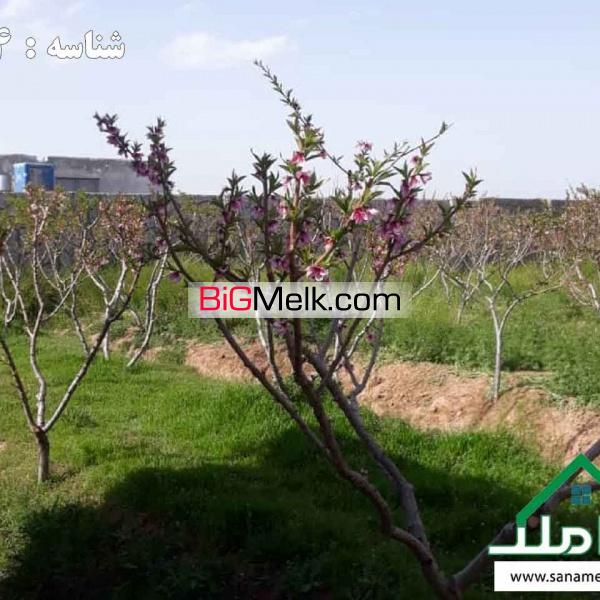 فروش باغ ویلا در حصارساتی شهریار
