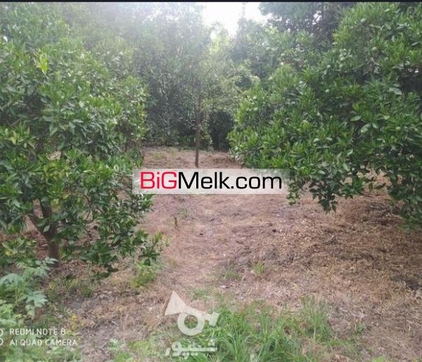 باغ روبروی دانشگاه با موقعیت مکانی عالی مسکونی و تجاری