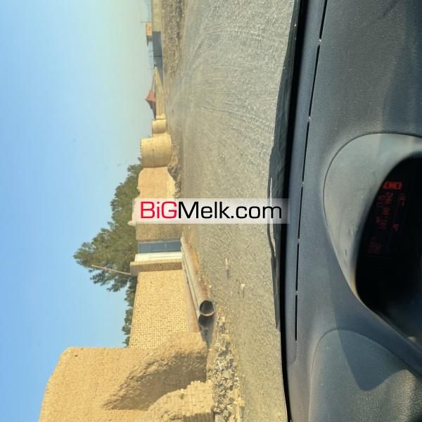 زمین کشاورزی 20 هکتاری