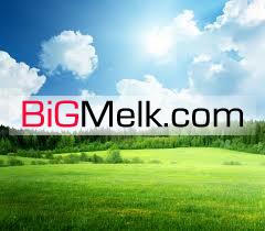 فروش  830 هکتار زمین کشاورزی قزوین به سمت بویین زهرا
