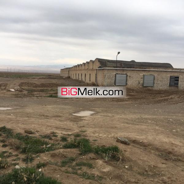 فروش مرغداری گوشتی ۴۰ هزار قطعه