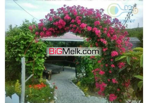 اجاره ویلاچالوس ارزان لب دریا سه واحدمجزا