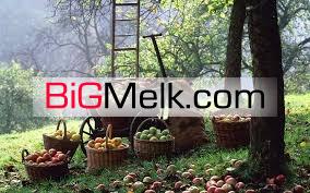 فروش باغ میوه اراک دارای اتاق و چهاردیواری شده