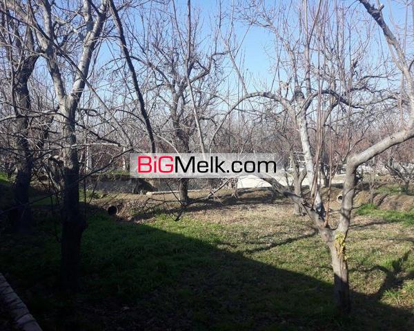 خرید باغ و باغچه در شهریار کد 1475