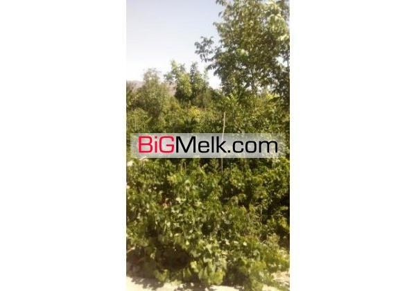 فروش ویلا باغ اصفهان 2400 متر