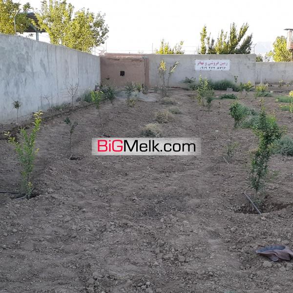 باغ ۵۰۰متری ورودی  روستا صالحیه نظرآباد