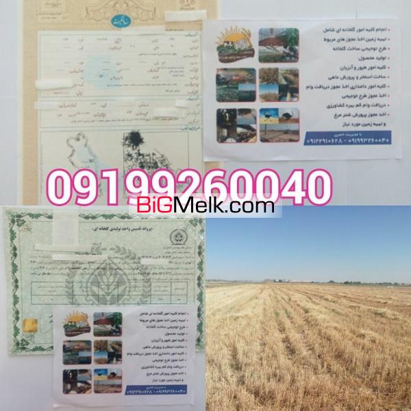 دریافت مجوز گلخانه ودامداری ومرغداری