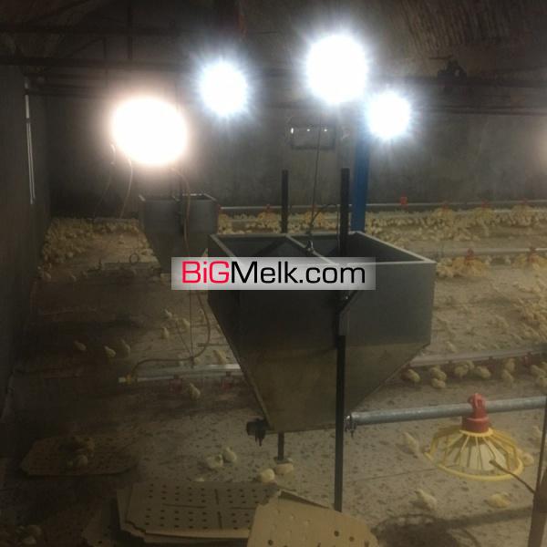 فروش مرغداری گوشتی ۴۰ هزار قطعه