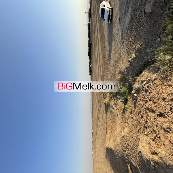 زمین کشاورزی 20 هکتاری