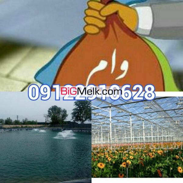 فروش گلخانه خیار و دامداری