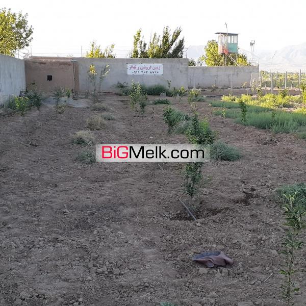 باغ ۵۰۰متری ورودی  روستا صالحیه نظرآباد