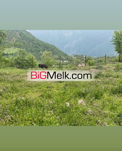 فروش530متر زمین در ییلاق گردشگری و تفریحی تالش