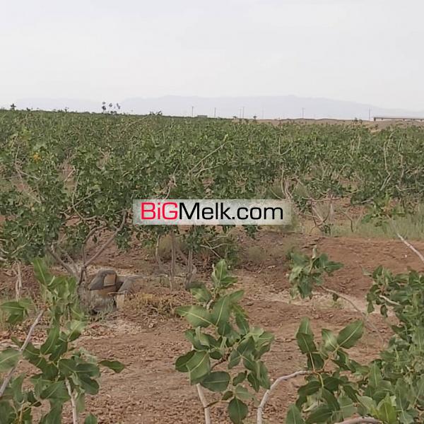 فروش 87 هکتار مزرعه در اصفهان