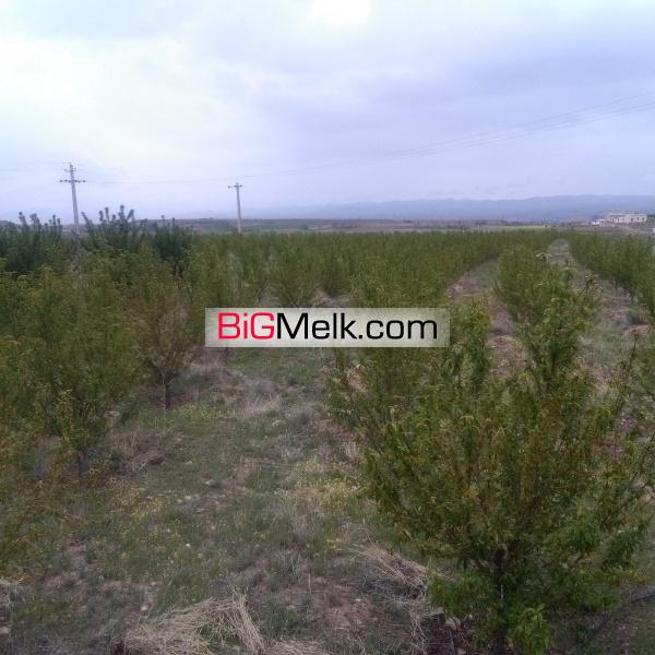 زمین کشاورزی به وسعت 30 هکتار