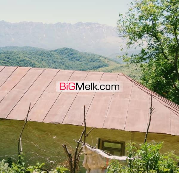 یک قطعه زمین ییلاقی