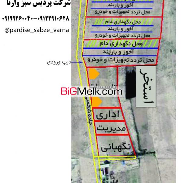 زمین کشاورزی20 هکتار با وام و طرح توجیهی