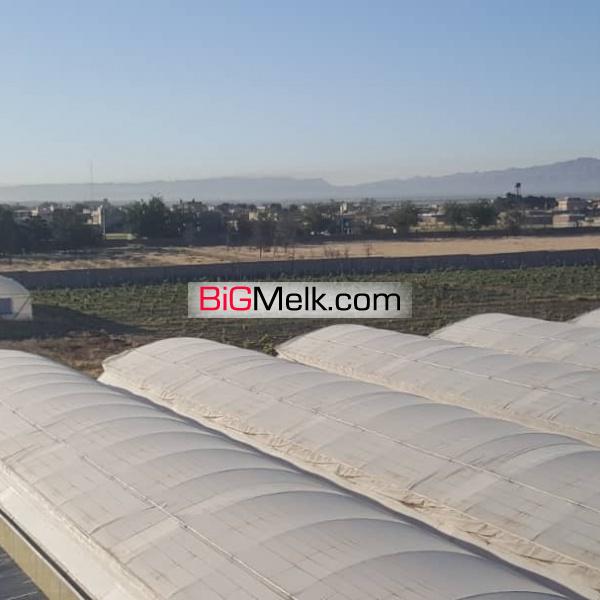 گلخانه آنتوریوم مزرعه انگور زمین کشت زعفران استخر پرورش ماهی
