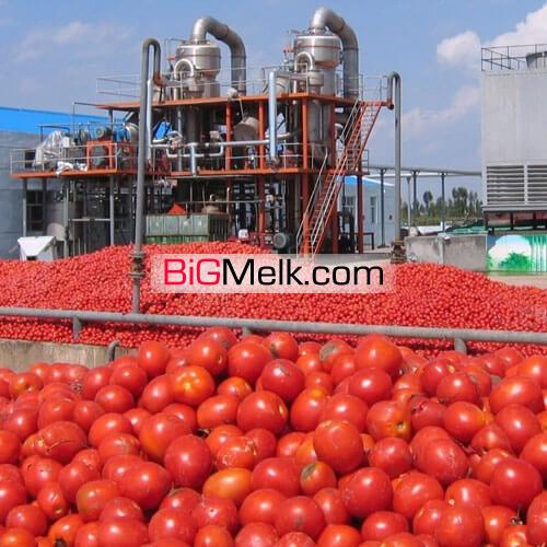 فروش کارخانه غذایی رب گوجه