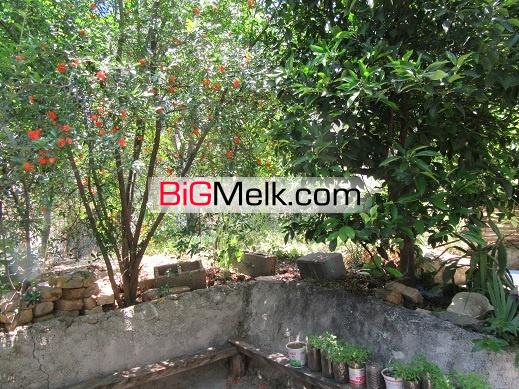 *ویلا باغ300 متری 3 خوابه  *شمال گیلان*