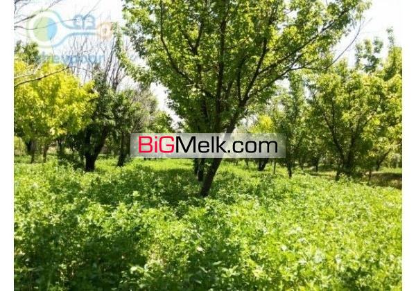 فروش باغ میوه چاه کشاورزی گاوداری صنعتی