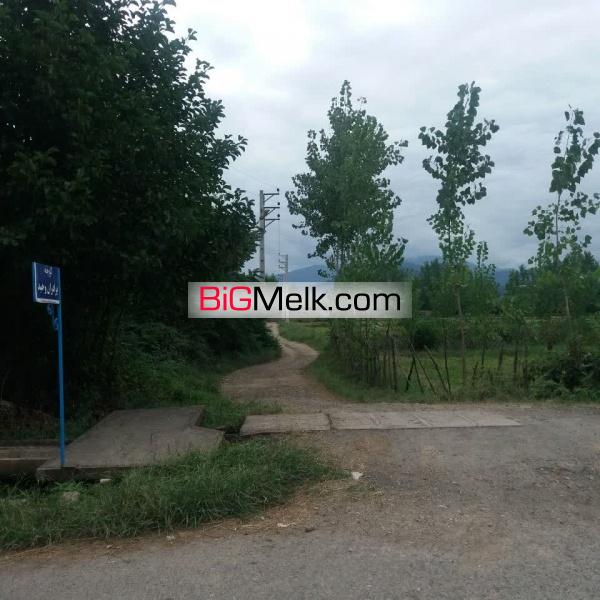 زمین کشاورزی شایزار در گیلان فومن
