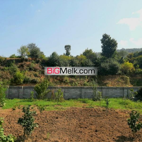 فروش زمین ۳۰۰ متری سه نبش درمنطقه توریستی گردشگری بلیران آمل