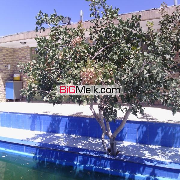 فروش باغ پسته و انواع میوه جات و کارخانه فرآوری خشکبار